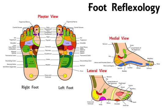 Oils For Stress On Foot For Premature Ejaculation & Erectile Dysfunction